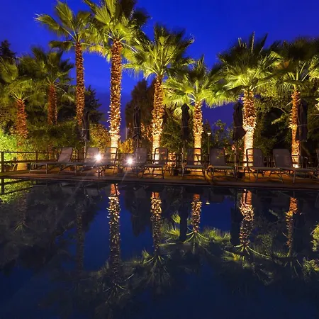 Olive House * Ovacık